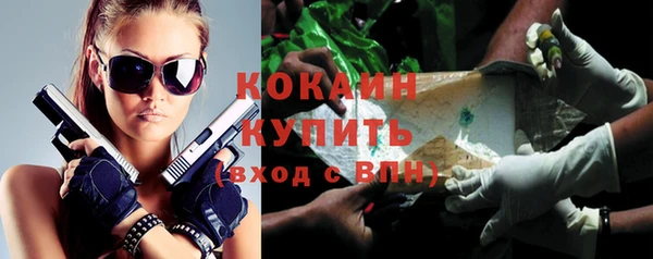 альфа пвп Медвежьегорск