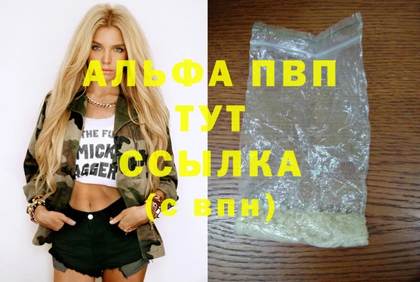 альфа пвп Медвежьегорск