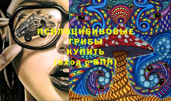 дмт Мегион