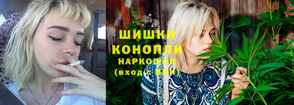 прущие крисы Магадан