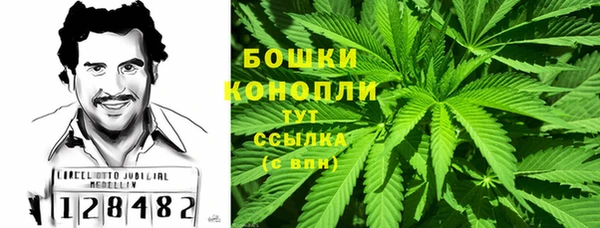 прущие крисы Магадан