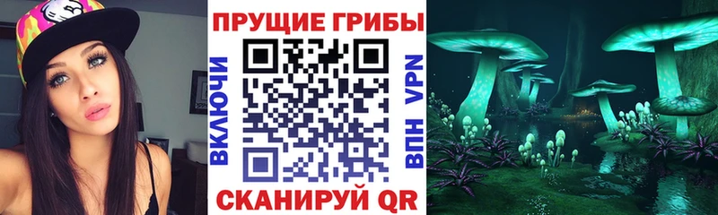 где продают наркотики  Астрахань  Галлюциногенные грибы мицелий 