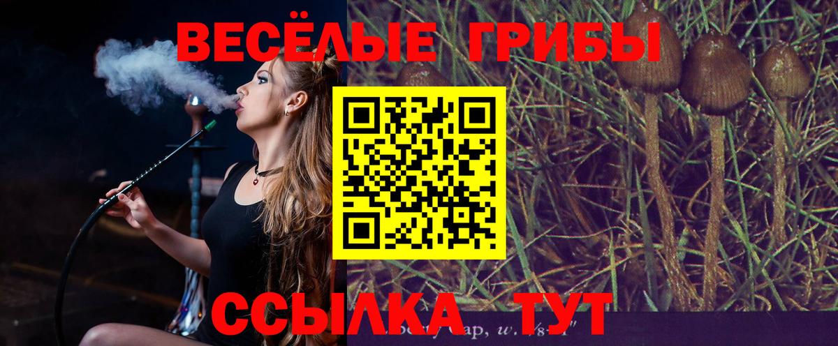 Астрахань  Галлюциногенные грибы Psilocybe  сколько стоит  Вход с VPN 