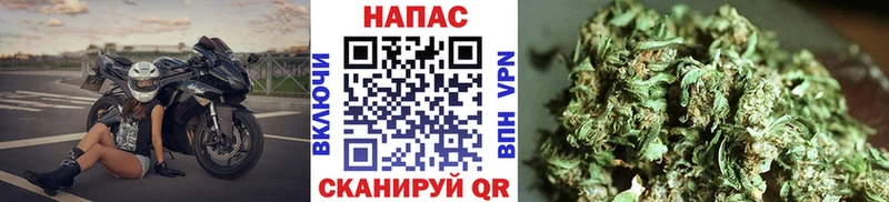 Бошки Шишки Bruce Banner  omg tor  Астрахань 